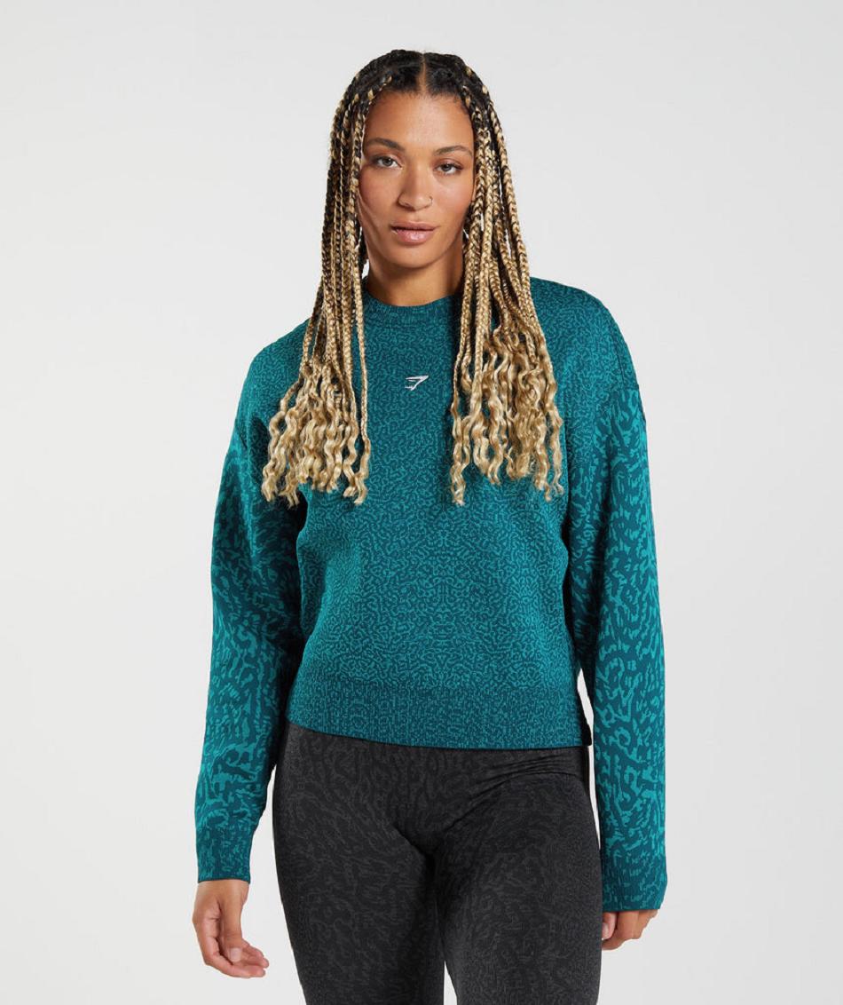 Correr Con Capucha Gymshark Adapt Animal Sweatshirt Mujer Turquesa | CO 2610NWY